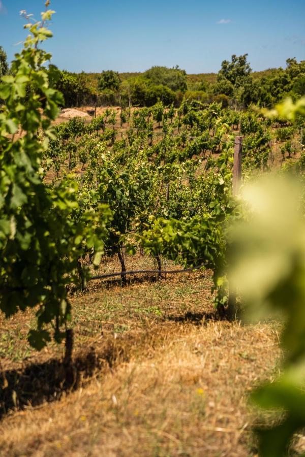 Locanda In Vigna Арцакена Екстер'єр фото